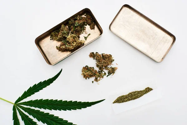 Ansicht von grünem Cannabisblatt, Papierrollen und Marihuana-Knospen isoliert auf weiß — Stockfoto