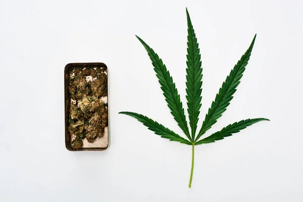 Top view of green cannabis leaf and marijuana buds in metal case isolated on white — Stock Photo