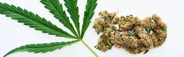 Top view of green cannabis leaf and marijuana buds isolated on white , panoramic shot — Stock Photo