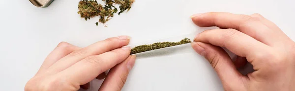 Vista ritagliata di donna rolling joint con marijuana, colpo panoramico — Foto stock