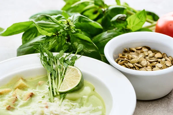 Plate of delicious green spinach creamy soup with croutons, lime sprouts and pumpkin seeds — Stock Photo