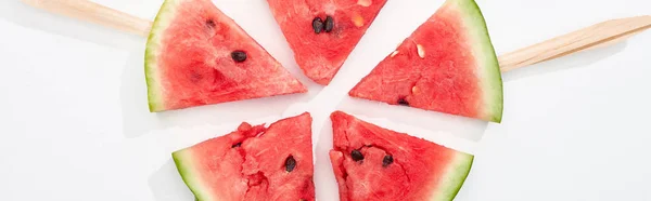 Panoramic shot of fresh watermelon slices on sticks on white background — Stock Photo