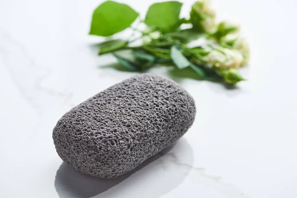 Close up view of gray pumice stone near plant branch on white surface — Stock Photo