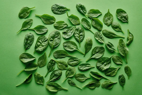 Vista superior de albahaca fresca y orgánica sobre fondo verde - foto de stock