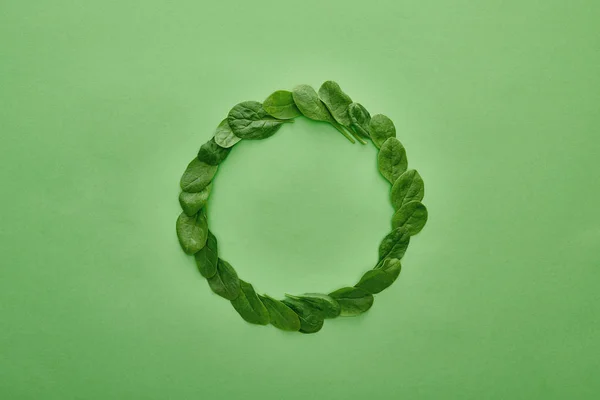 Top view of fresh and organic basil on green background — Stock Photo