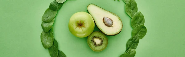 Panoramic shot of green kiwi, apple, greenery and avocado — Stock Photo