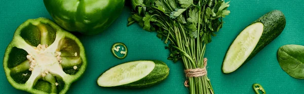 Panoramic shot of fresh and organic peppers, greenery and cucumbers — Stock Photo