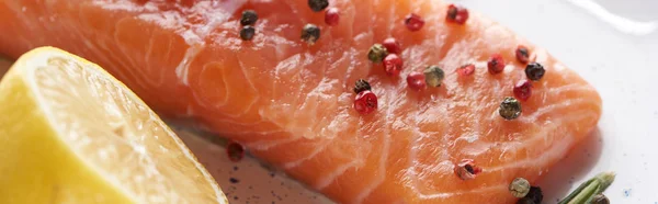 Close up view of raw salmon steak with peppercorns and lemon, panoramic shot — Stock Photo