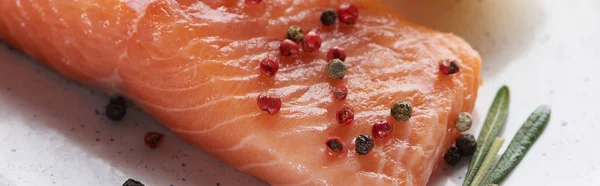 Vista ravvicinata di bistecca di salmone crudo con grani di pepe sul piatto, colpo panoramico — Foto stock
