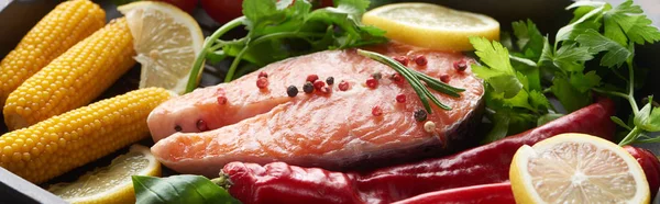 Panoramic shot of raw salmon steak with lemon, herbs and vegetables — Stock Photo