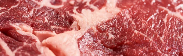 Panoramic shot of fresh raw beef fillet with fat — Stock Photo