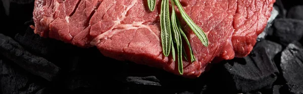 Panoramic shot of raw beef steak with fresh rosemary sprig on coal pieces — Stock Photo