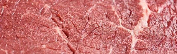 Panoramic shot of fresh raw beef fillet — Stock Photo