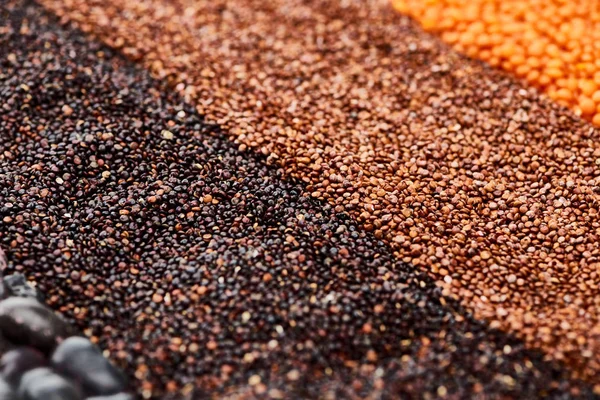 Vista ravvicinata di quinoa nera, grano saraceno e lenticchia — Foto stock