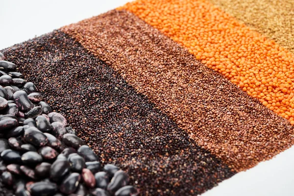 Quinoa preta, feijão, trigo sarraceno e lentilha vermelha isolados em branco — Fotografia de Stock