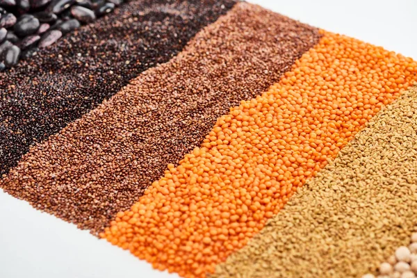 Quinoa noir, sarrasin, lentilles et haricots isolés sur blanc — Photo de stock
