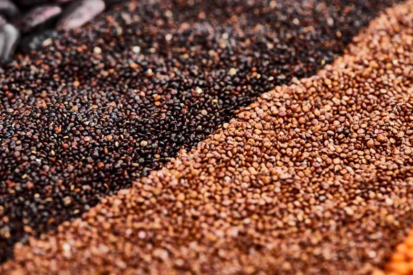 Vue rapprochée du sarrasin rôti près du quinoa noir — Photo de stock