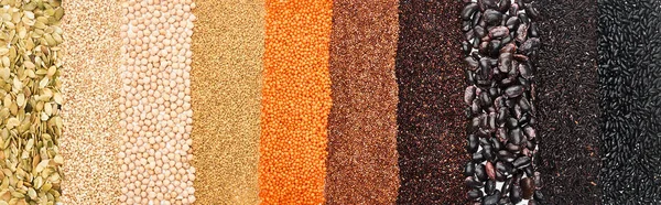 Panoramic shot of assorted black beans, rice, quinoa, red lentil, buckwheat, chickpea and pumpkin seeds — Stock Photo