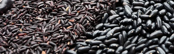 Tiro panorâmico de pequenos feijões negros e arroz — Fotografia de Stock