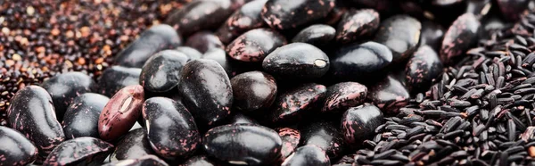 Plano panorámico de frijoles negros surtidos, arroz y quinua - foto de stock