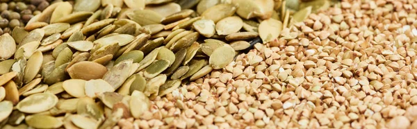 Plano panorámico de trigo sarraceno crudo y semillas de calabaza - foto de stock