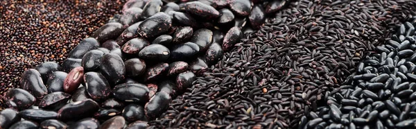 Tiro panorâmico de feijão preto variado, quinoa e arroz — Fotografia de Stock