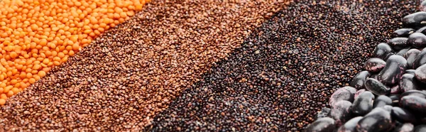 Panoramic shot of assorted black beans, quinoa, red lentil and buckwheat — Stock Photo