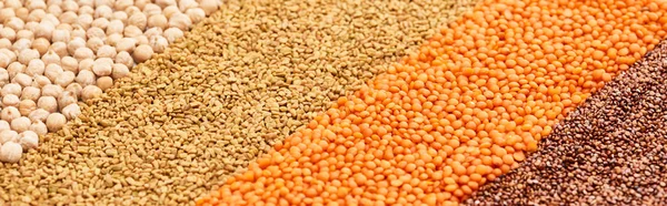 Panoramic shot of chickpea, buckwheat and red lentil — Stock Photo