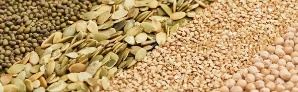 Tiro panorâmico de grãos de moong, sementes de abóbora, trigo mourisco cru e grão de bico — Fotografia de Stock