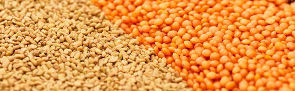 Panoramic shot of cereals near red lentil — Stock Photo