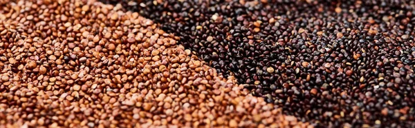 Tiro panorâmico de trigo mourisco torrado e quinoa preta — Fotografia de Stock