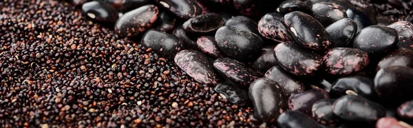 Tiro panorâmico de sementes de quinoa preta e feijão — Fotografia de Stock