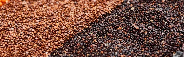 Tiro panorâmico de quinoa preta e buchwheat torrado — Fotografia de Stock