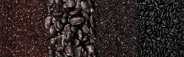 Plano panorámico de frijoles negros, arroz y quinua - foto de stock