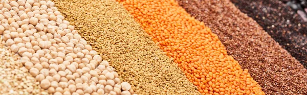 Panoramic shot of assorted whole grains and chickpea — Stock Photo