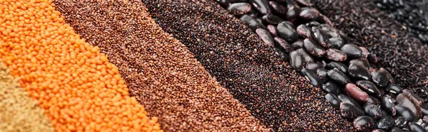 Panoramic shot of black beans, rice, quinoa, buckwheat and red lentil — Stock Photo