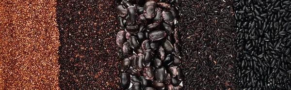 Panoramic shot of assorted black beans, rice, quinoa and roasted buckwheat — Stock Photo