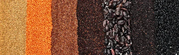 Panoramic shot of assorted black beans, rice, quinoa, red lentil and buckwheat — Stock Photo