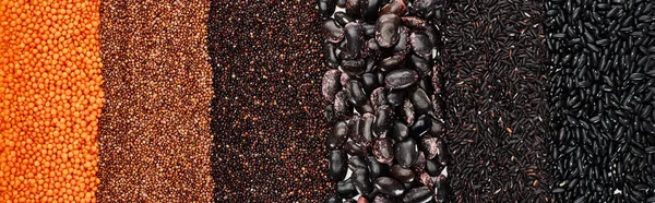 Panoramic shot of assorted black beans, rice, quinoa, red lentil and roasted buckwheat — Stock Photo