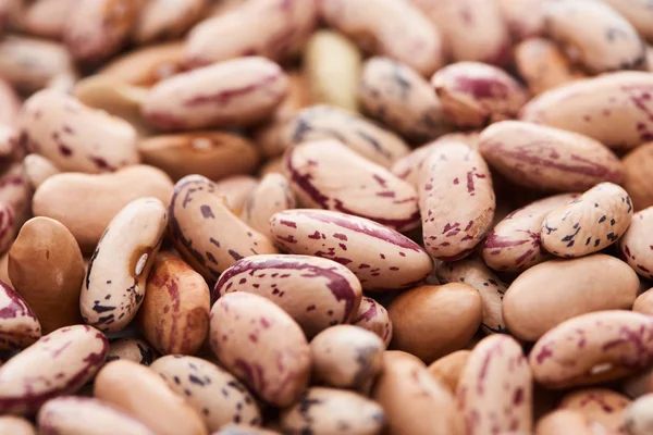 Vista de cerca de frijoles pinto crudos - foto de stock