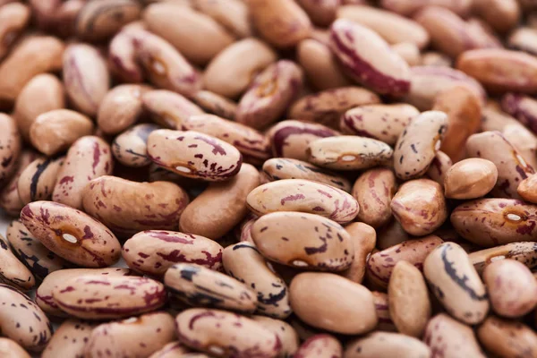 Vista de cerca de frijoles pinto sin procesar - foto de stock