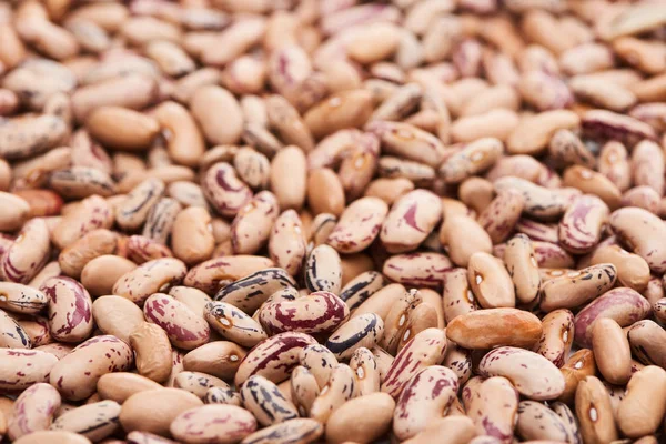 Close up view of mix of raw organic beans — Stock Photo