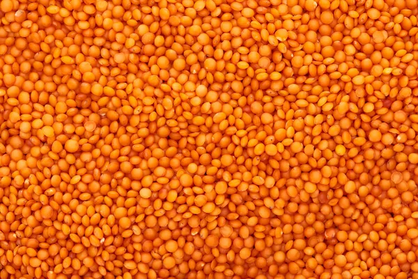 Top view of uncooked organic red lentil — Stock Photo