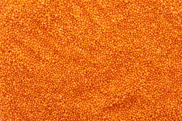 Vista superior da lentilha vermelha orgânica crua — Fotografia de Stock