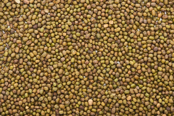 Top view of uncooked green moong beans — Stock Photo