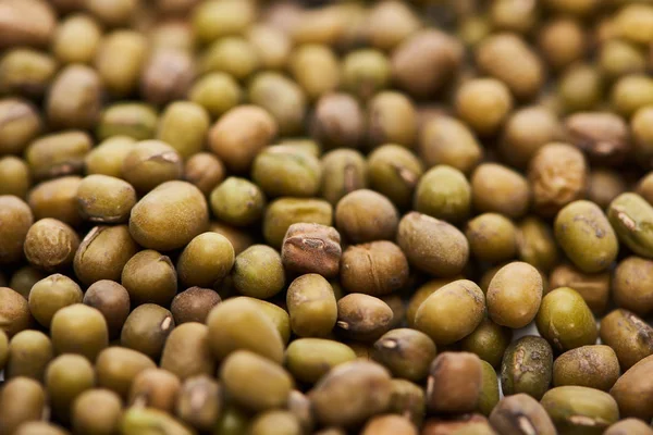 Close up view of raw green mung beans — Stock Photo