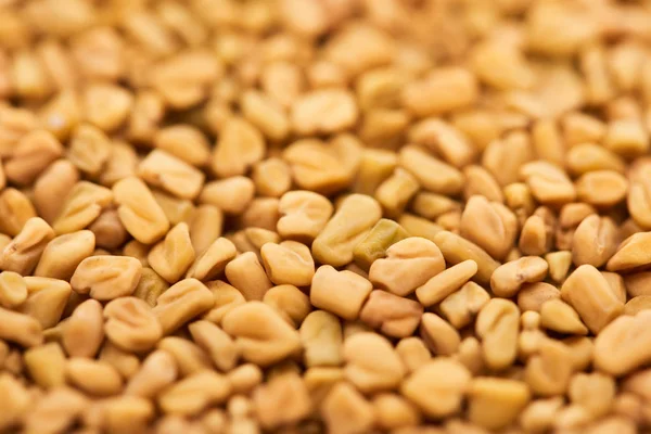 Nahaufnahme von rohem Bio-Bulgur — Stockfoto