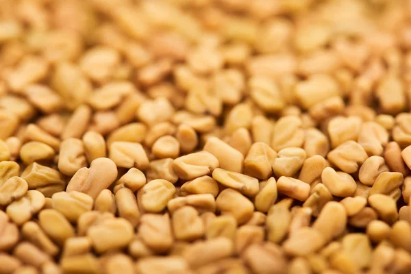 Close up view of uncooked bulgur whole grains — Stock Photo