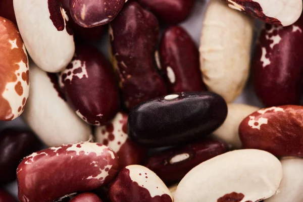 Close up view of mix of organic beans — Stock Photo