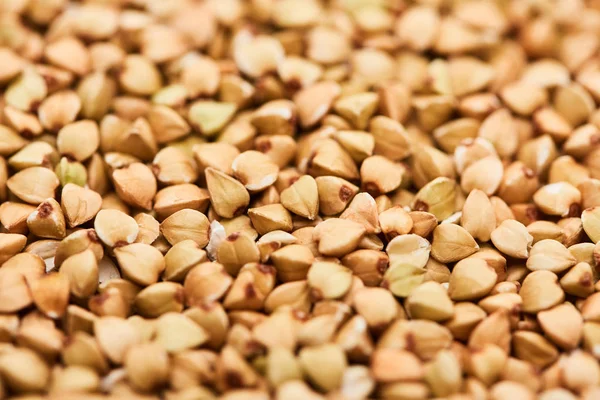 Close up view of uncooked raw buckwheat seeds — Stock Photo